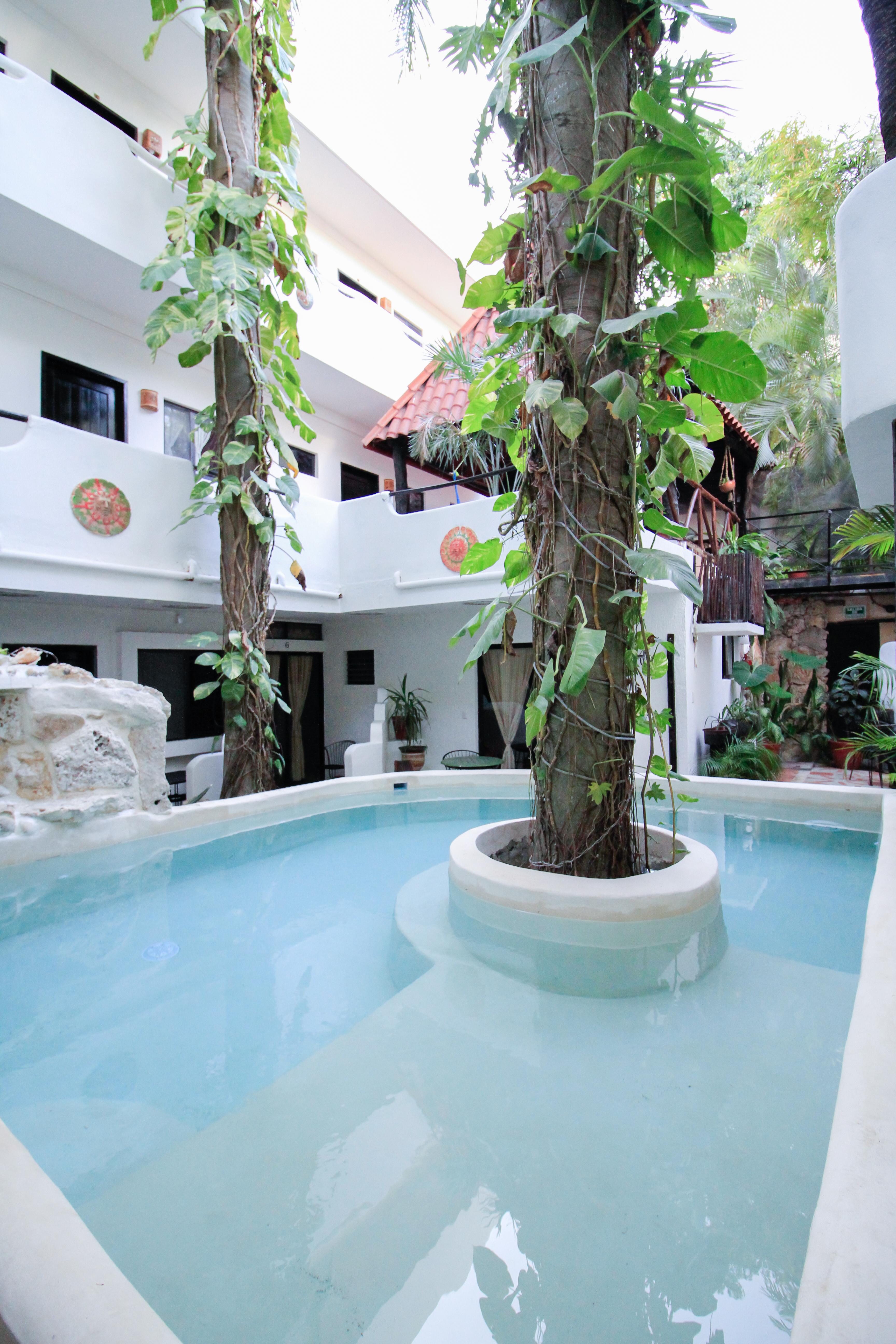 פלאייה דל כרמן Moonshine Hotel מראה חיצוני תמונה