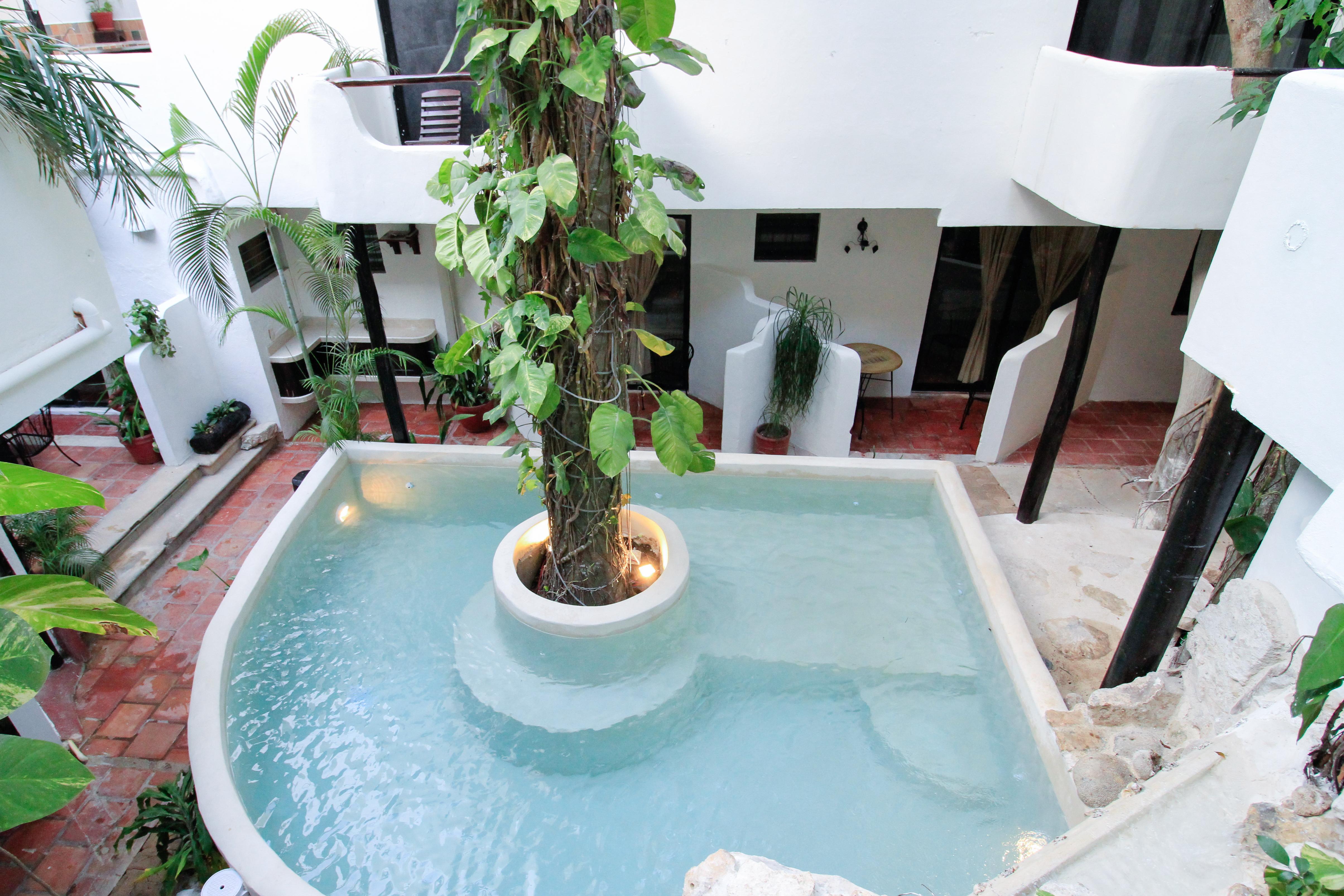 פלאייה דל כרמן Moonshine Hotel מראה חיצוני תמונה
