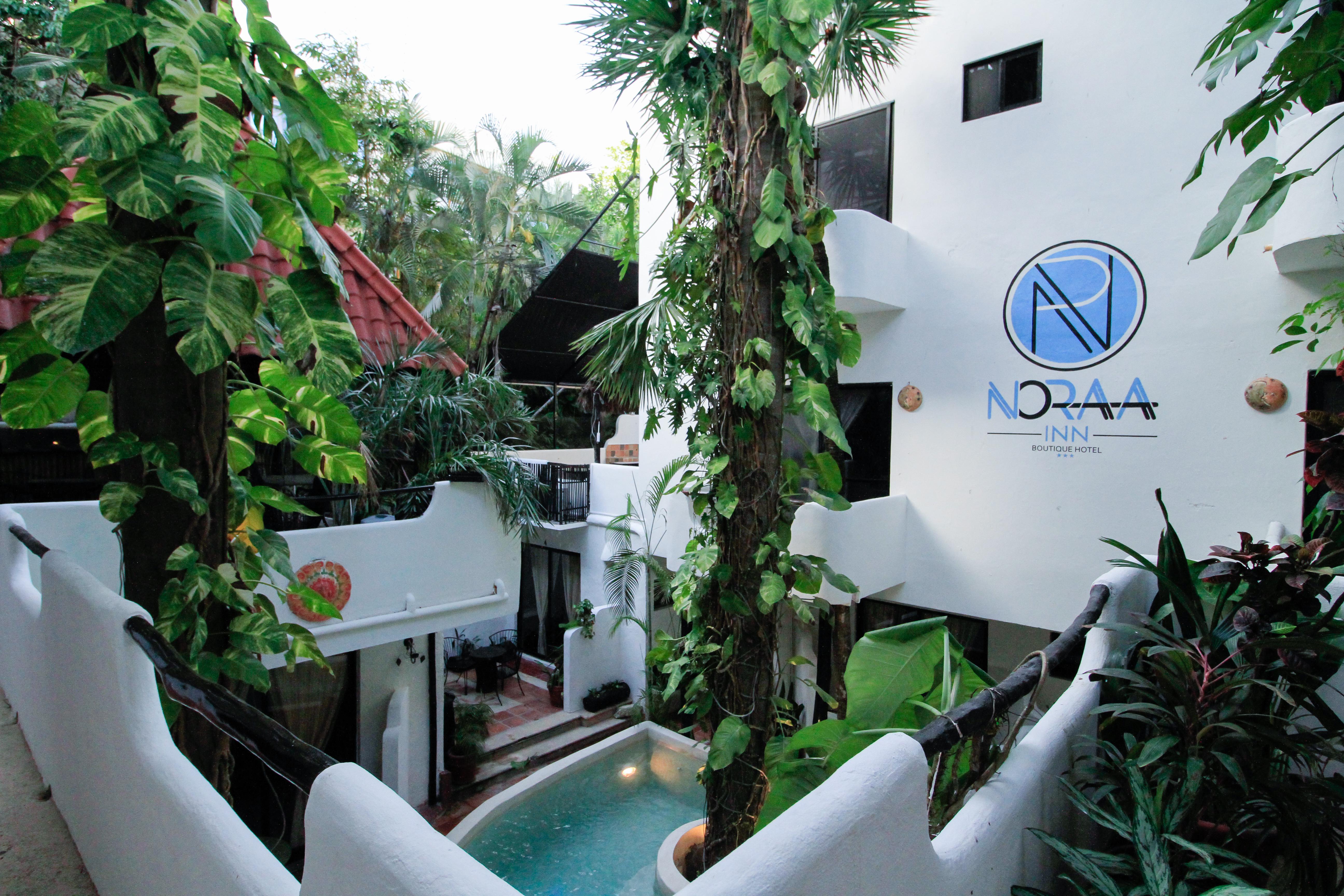 פלאייה דל כרמן Moonshine Hotel מראה חיצוני תמונה