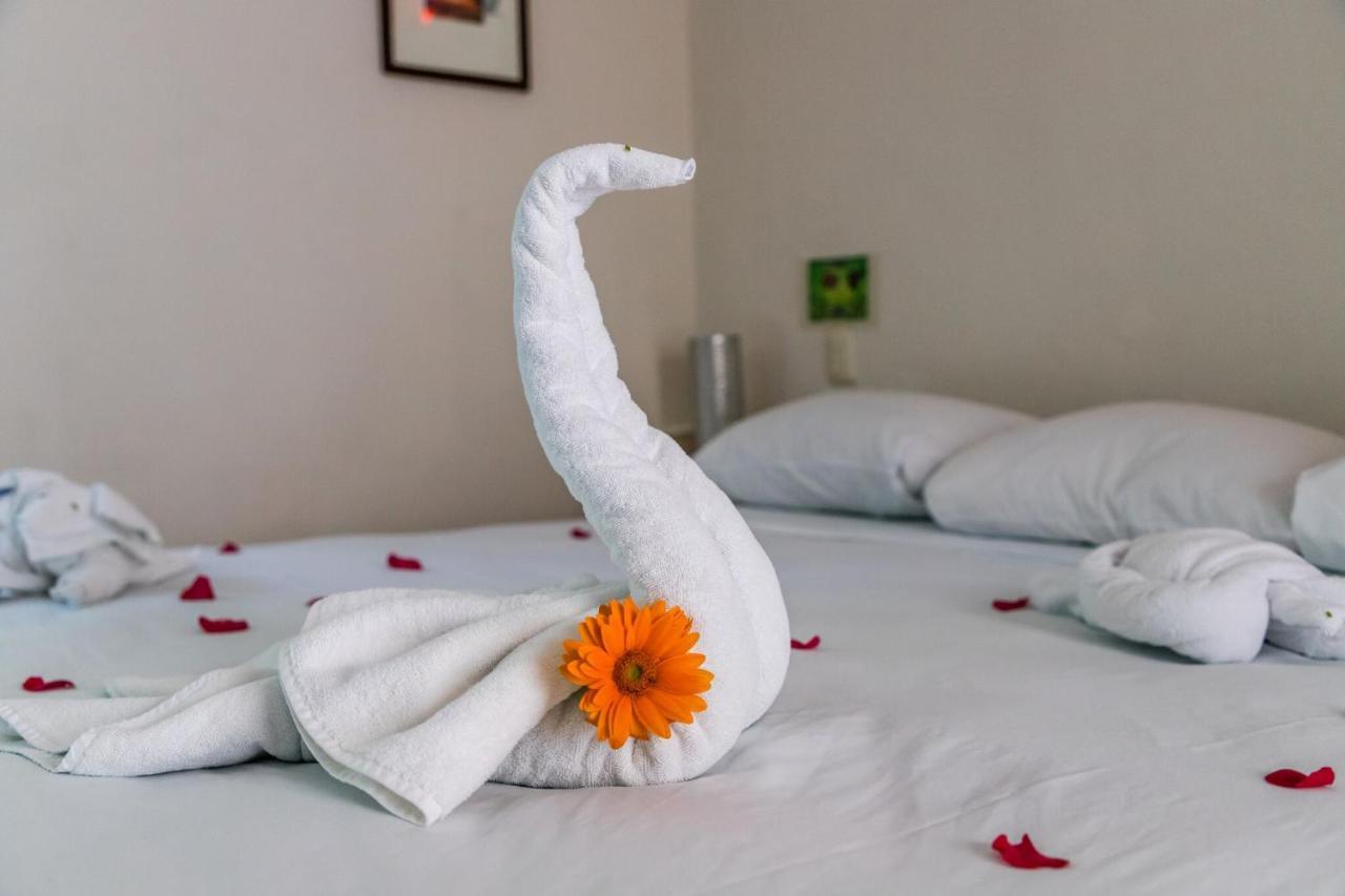פלאייה דל כרמן Moonshine Hotel מראה חיצוני תמונה